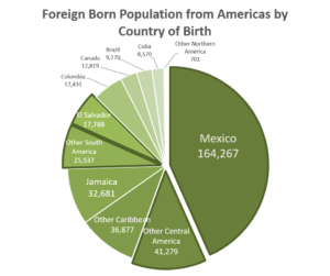 Foreign Born population by americas by country of birth