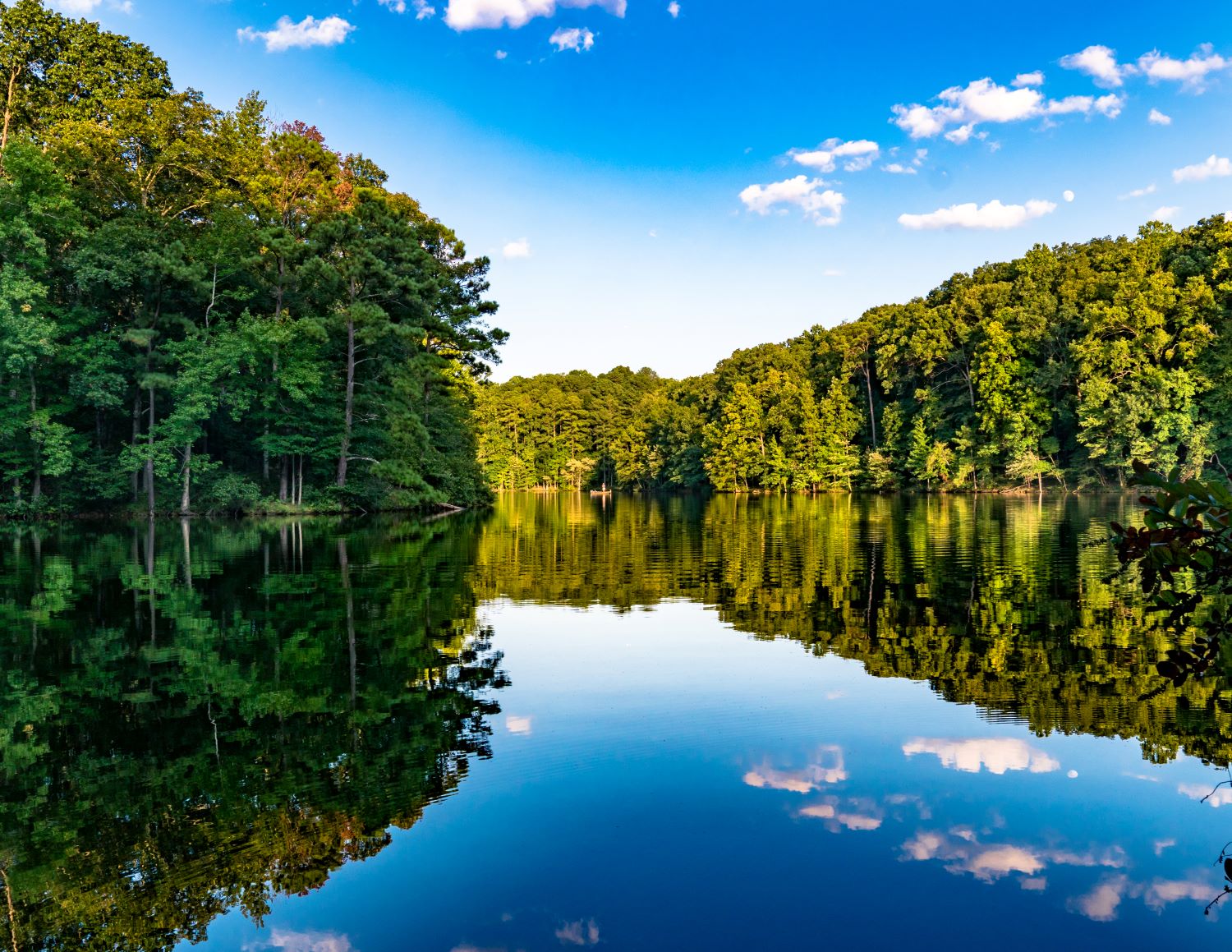 A river flows alongside tree covered banks